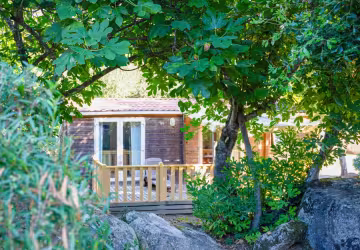 Chalet entouré d’arbres dans le parc