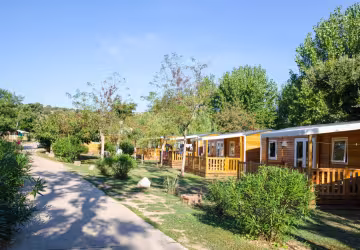 Chalets alignés le long d’une allée arborée