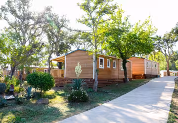 Chalets et arbres le long d’une allée du parc