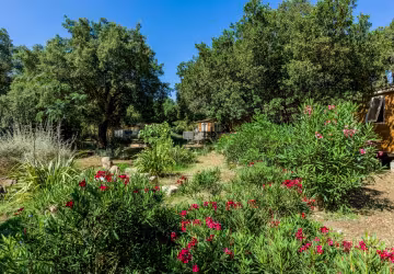 Jardin fleuri du parc
