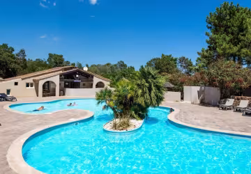 Piscine et îlot de palmiers
