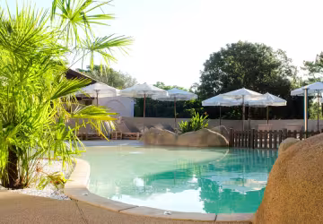 Piscine bordée de palmiers et de rochers, transats et parasols au fond