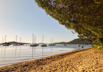 Plage de sable sous les pins, voiliers au mouillage dans la baie