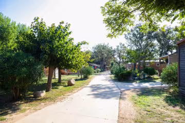 Allée piétonne entre les chalets du parc
