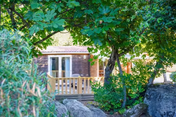 Chalet entouré d’arbres dans le parc