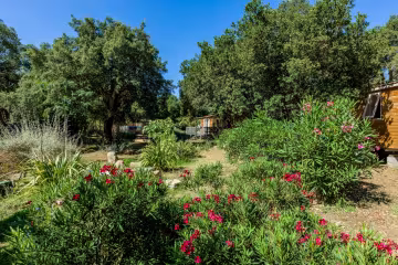 Jardin fleuri du parc