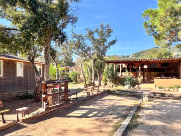 Terrain de pétanque et snack sous les arbres