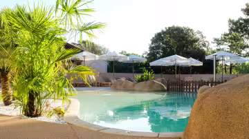 Piscine bordée de palmiers et de rochers, transats et parasols au fond